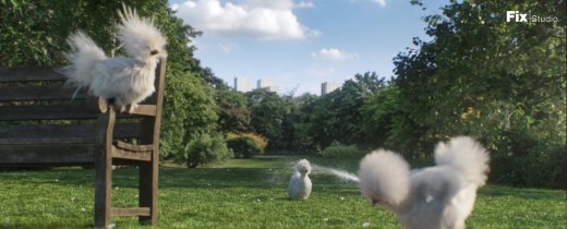 230125_silkies_arrosage