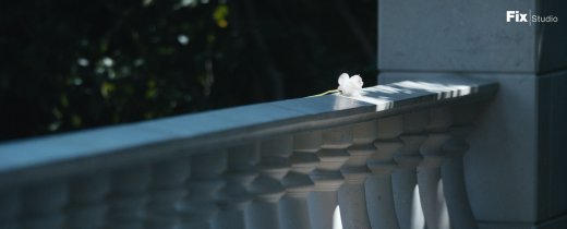 images_harmonist_philosophy_02